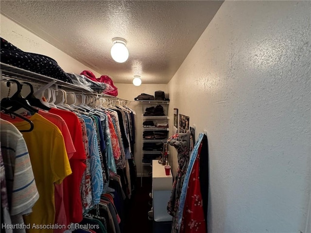 view of walk in closet