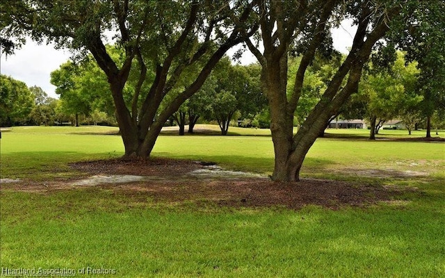 view of community featuring a yard