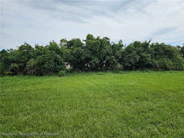 1105 N Florida Ave, Wauchula, FL 33873 - photo 30