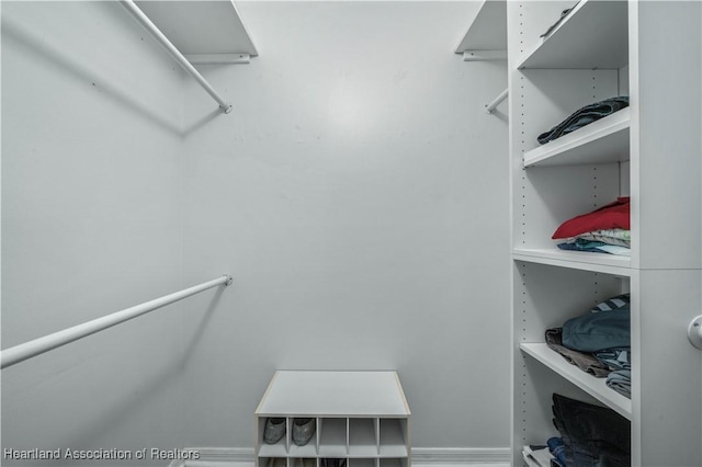 view of walk in closet