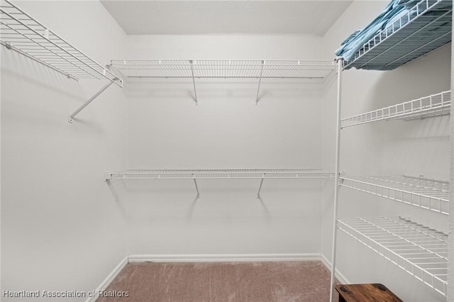 spacious closet with carpet floors