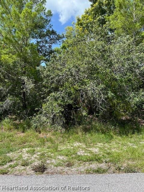 270 Loquat Rd NW, Lake Placid FL, 33852 land for sale