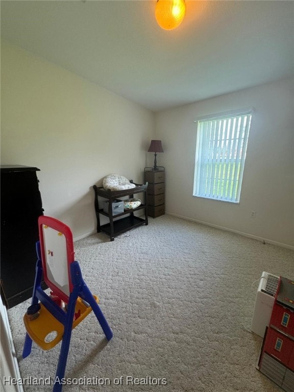 living area featuring carpet floors