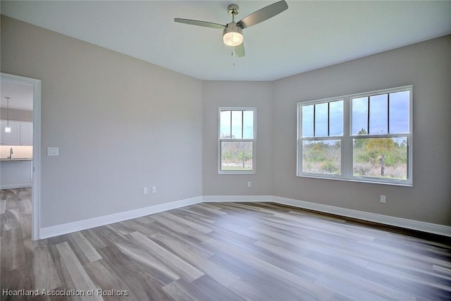 unfurnished room with light hardwood / wood-style flooring and ceiling fan