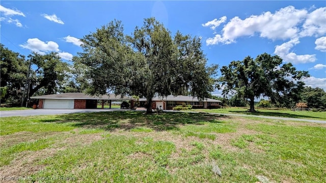 ranch-style home featuring a front lawn, driveway, and a carport