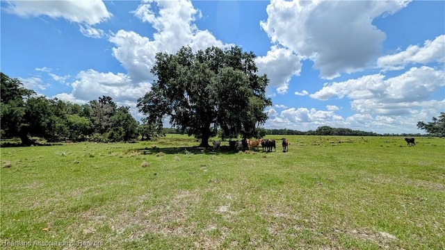 view of green lawn with a view of rural / pastoral area