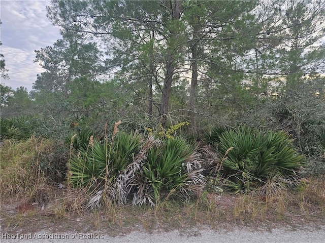 2225 Algonquin Dr, Sebring, FL 33875 - photo 4