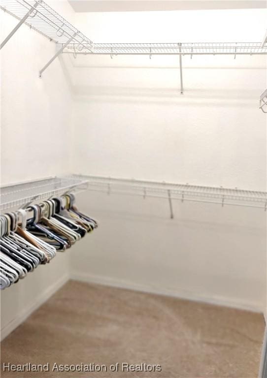 334 Sunshine Ave, Lake Placid, FL 33852 - spacious closet featuring carpet flooring