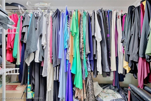 view of spacious closet