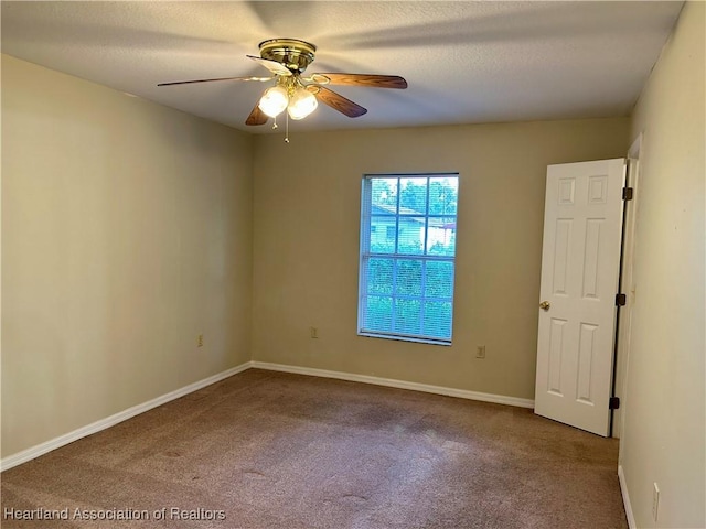 209 N 1st Ave, Wauchula, FL 33873 - photo 22