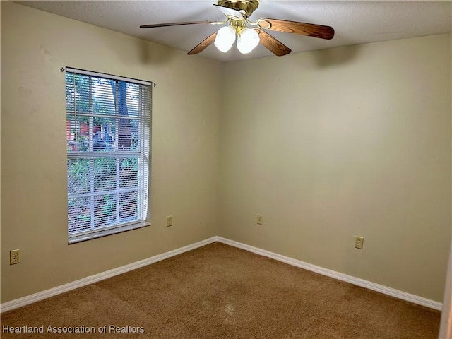 209 N 1st Ave, Wauchula, FL 33873 - photo 17
