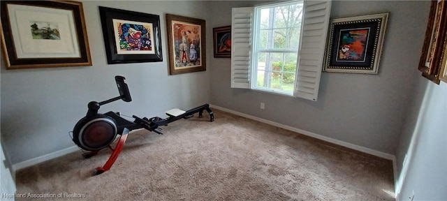 exercise room featuring light colored carpet