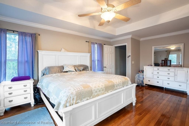 bedroom featuring a raised ceiling, ceiling fan, dark wood-type flooring, and crown molding