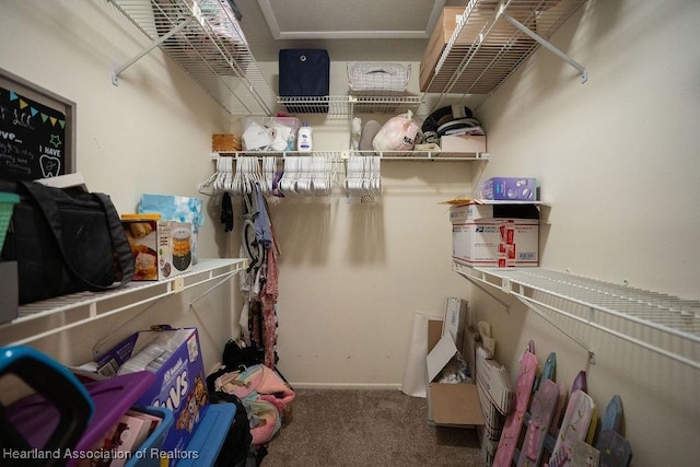 walk in closet featuring carpet floors