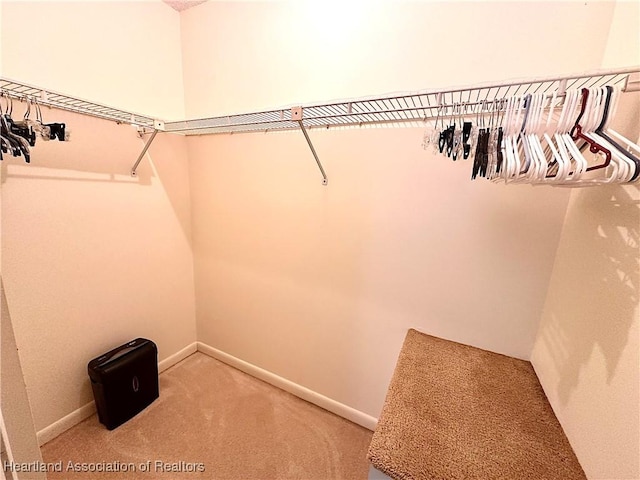 4620 Lafayette Ave, Sebring, FL 33875 - spacious closet with light carpet
