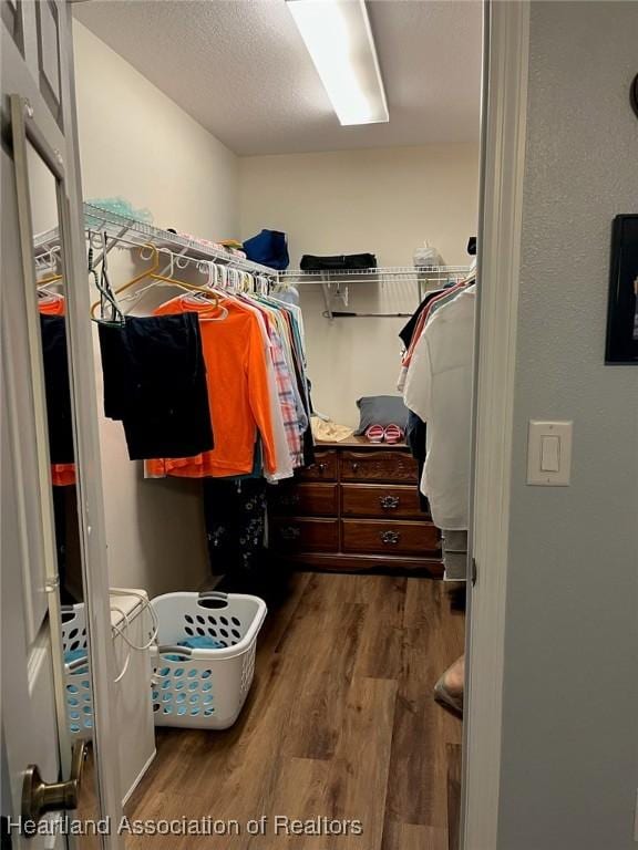 walk in closet featuring hardwood / wood-style floors