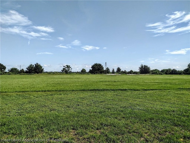 view of local wilderness with a rural view