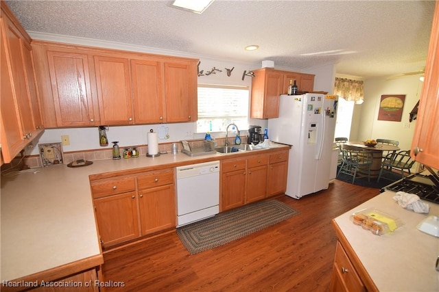 kitchen with sink, dark wood-type flooring, crown molding, a textured ceiling, and white appliances