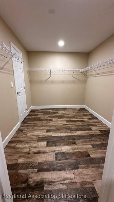 spacious closet with dark hardwood / wood-style floors