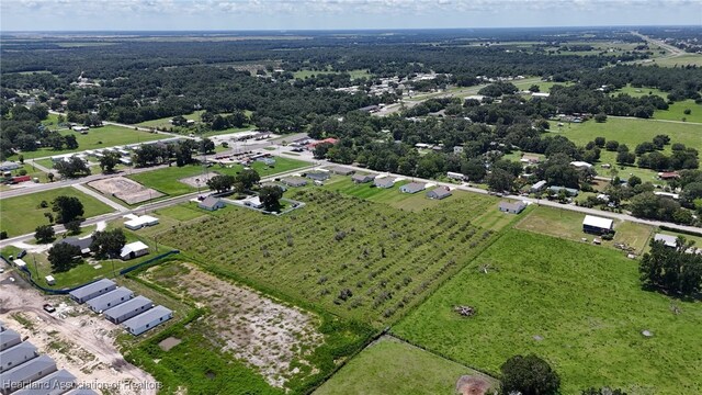 Doc Coil Rd, Bowling Green, FL 33834 - photo 14