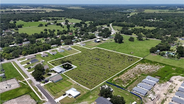 Doc Coil Rd, Bowling Green, FL 33834 - photo 3