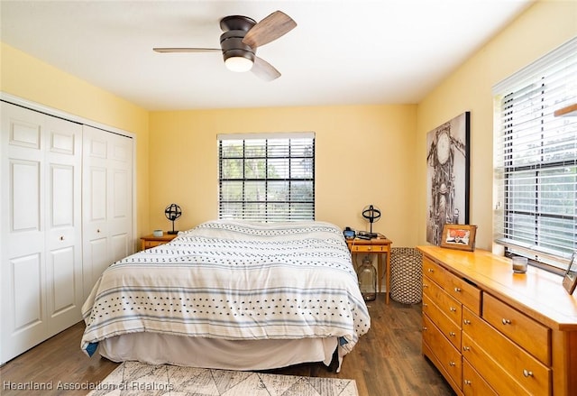 bedroom with ceiling fan, dark hardwood / wood-style flooring, and a closet