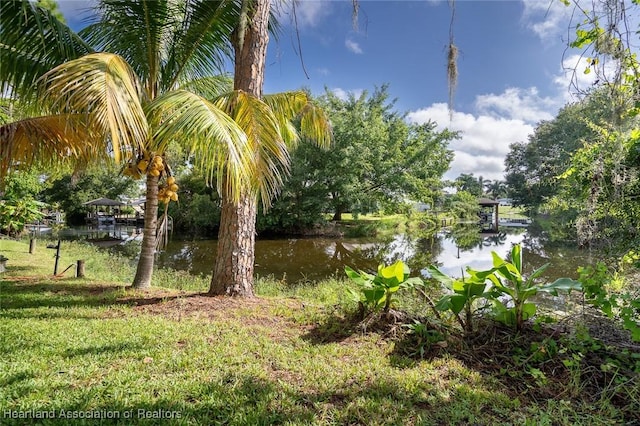 view of yard featuring a water view