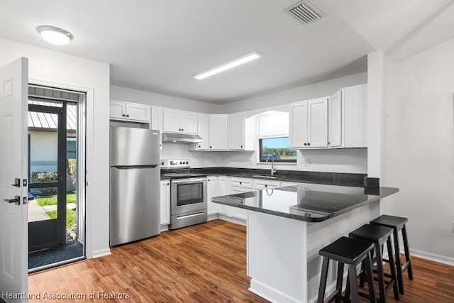kitchen featuring under cabinet range hood, a sink, a wealth of natural light, a peninsula, and appliances with stainless steel finishes