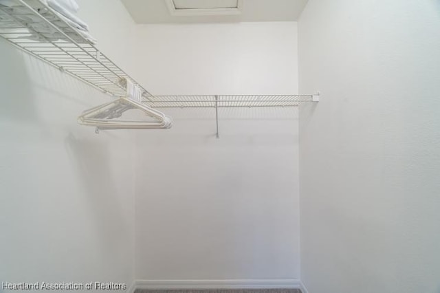 view of spacious closet