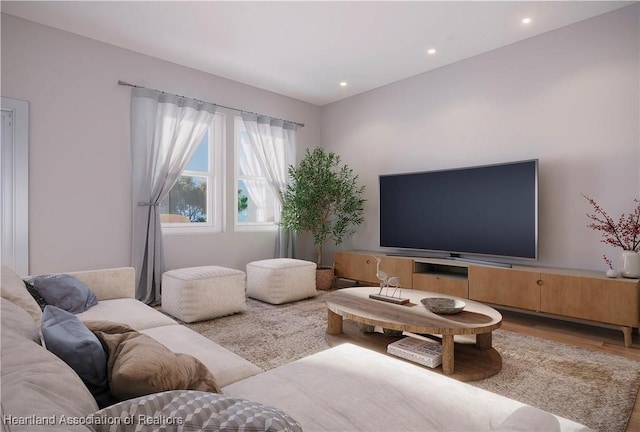 living room featuring wood-type flooring