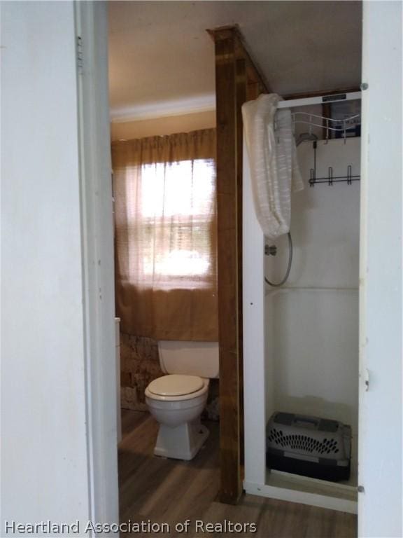 bathroom with wood-type flooring and toilet
