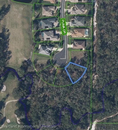 3973 Puma Dr, Avon Park, FL 33825