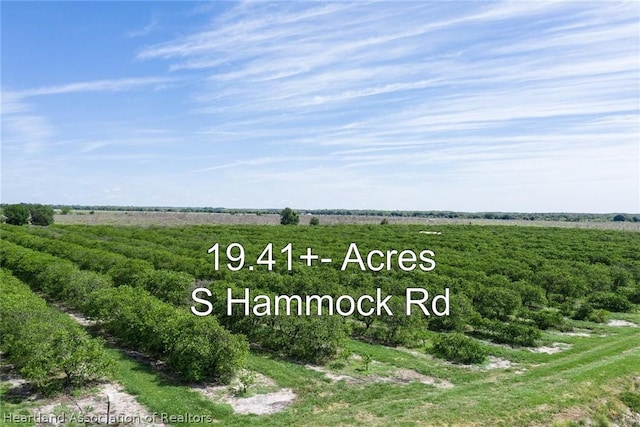 Listing photo 2 for S Hammock Rd, Zolfo Springs FL 33890