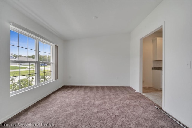 spare room with light colored carpet