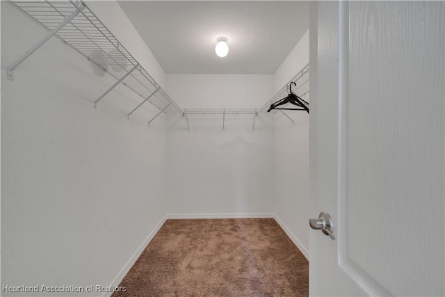 spacious closet with carpet