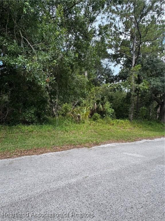 1031 Mimosa St, Lake Placid, FL 33852 - photo 1