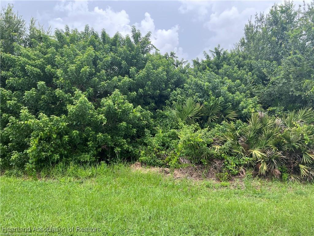 5019 Lafayette Ave, Sebring, FL 33875 - photo 2