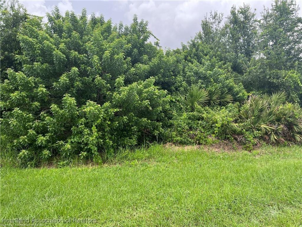5019 Lafayette Ave, Sebring, FL 33875 - photo 3