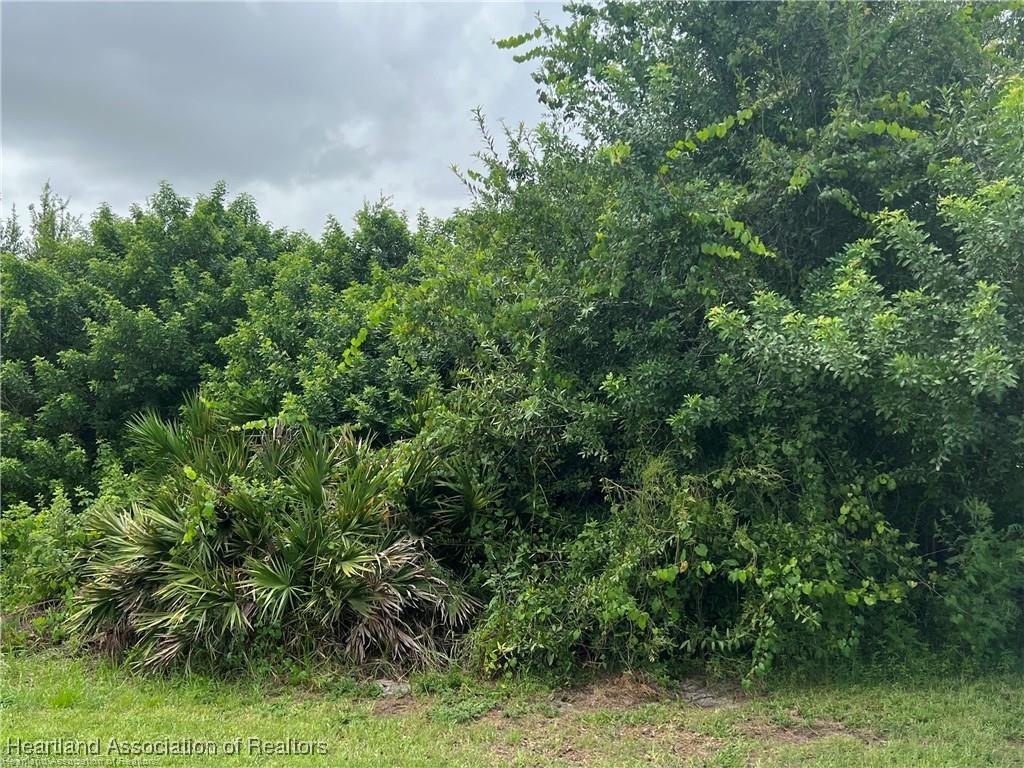 5019 Lafayette Ave, Sebring, FL 33875 - photo 1