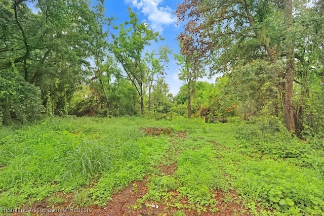 317 Old Bradenton Rd, Wauchula, FL 33873 - view of woods