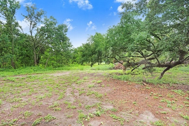 317 Old Bradenton Rd, Wauchula, FL 33873 - view of wooded area