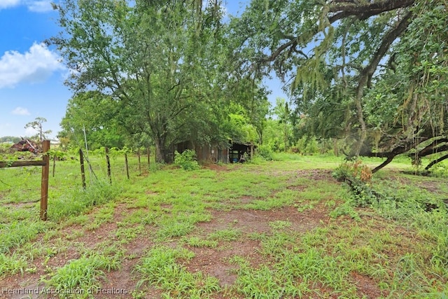 317 Old Bradenton Rd, Wauchula, FL 33873 - view of yard