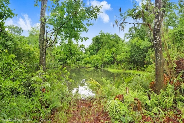 317 Old Bradenton Rd, Wauchula, FL 33873 - view of undeveloped land