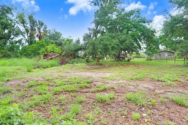 317 Old Bradenton Rd, Wauchula, FL 33873 - view of yard with view of scattered trees