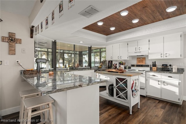 kitchen featuring under cabinet range hood, visible vents, wood ceiling, a tray ceiling, and white range with electric cooktop