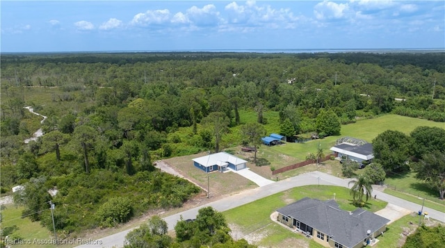1502 Oak Ave, Lake Placid, FL 33852 - aerial view of a forest