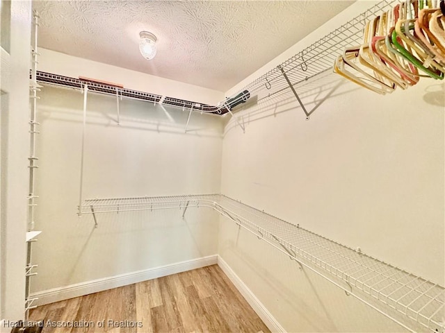 walk in closet with wood finished floors