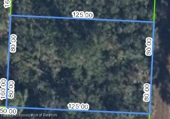 718 Neale St, Lake Placid, FL 33852