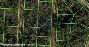 718 Neale St, Lake Placid, FL 33852
