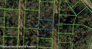 718 Neale St, Lake Placid FL, 33852 land for sale